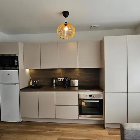 Appartements 4, 5 Et 10 Personnes Renoves En Centre-Ville Mont-Dore Exterior photo